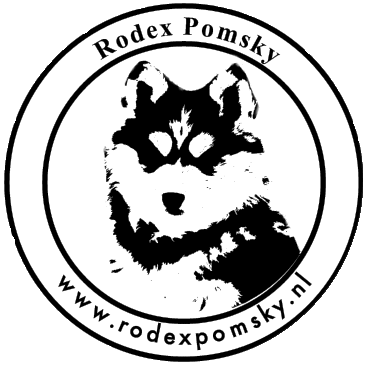 Rodex Pomsky Nederland